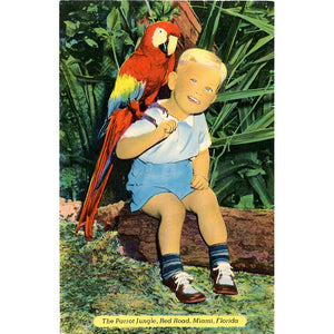 Miami Florida Parrot Jungle Red Road Vintage Postcard (unused)
