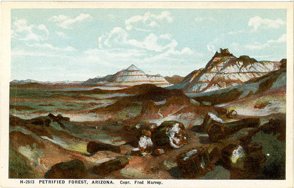 Petrified Forest Arizona Thomas Moran Painting Vintage Postcard 1920s (unused) - Vintage Postcard Boutique