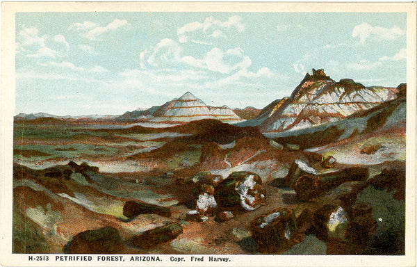 Petrified Forest Arizona Thomas Moran Painting Vintage Postcard 1920s (unused)