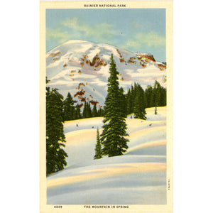 Rainier National Park Washington Alta Vista Mid-Winter near Paradise Inn Vintage Postcard (unused) - Vintage Postcard Boutique