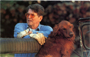 President Ronald Reagan & Golden Retriever Santa Barbara Ranch Vintage Postcard 1984 (unused) - Vintage Postcard Boutique