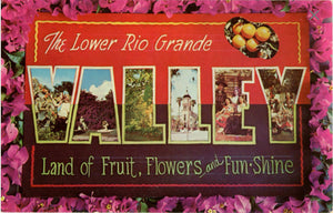 Lower Rio Grande Valley Texas Large Letter Vintage Postcard (unused) - Vintage Postcard Boutique