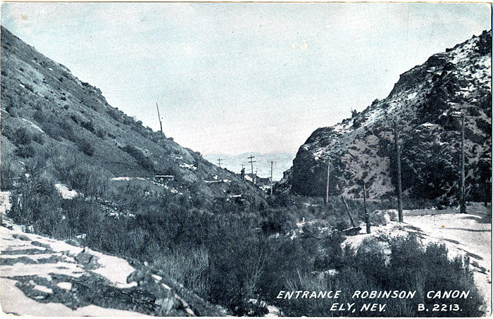 Ely Nevada Entrance Robinson Canon Vintage Postcard - Vintage Postcard Boutique