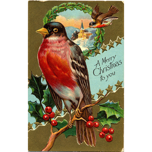 Merry Christmas Gold Embossed Robin Vintage Postcard - Xmas Bird Series - Vintage Postcard Boutique