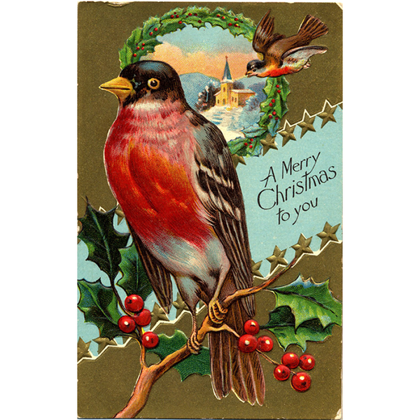 Merry Christmas Gold Embossed Robin Vintage Postcard - Xmas Bird Series - Vintage Postcard Boutique