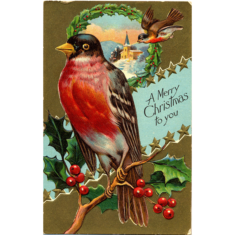 Merry Christmas Gold Embossed Robin Vintage Postcard - Xmas Bird Series - Vintage Postcard Boutique