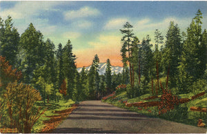 Roswell New Mexico Mescalero Apache Indian Reservation Vintage Postcard 1940s - Vintage Postcard Boutique