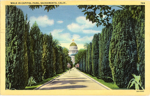 Sacramento California Capitol Park Vintage Postcard 1945