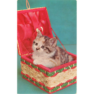 Kitten in Sewing Box Vintage Postcard (unused) - Vintage Postcard Boutique