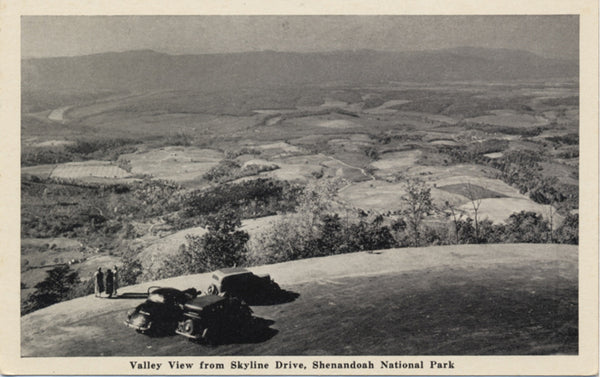 Shenandoah National Park Skyline Drive Vintage Postcard (unused) - Vintage Postcard Boutique