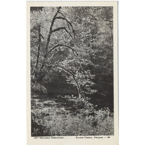 Silver Creek Oregon Natures Handiwork RPPC Vintage Postcard (unused) - Vintage Postcard Boutique