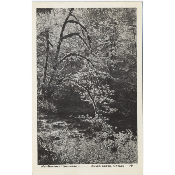 Silver Creek Oregon Natures Handiwork RPPC Vintage Postcard (unused) - Vintage Postcard Boutique