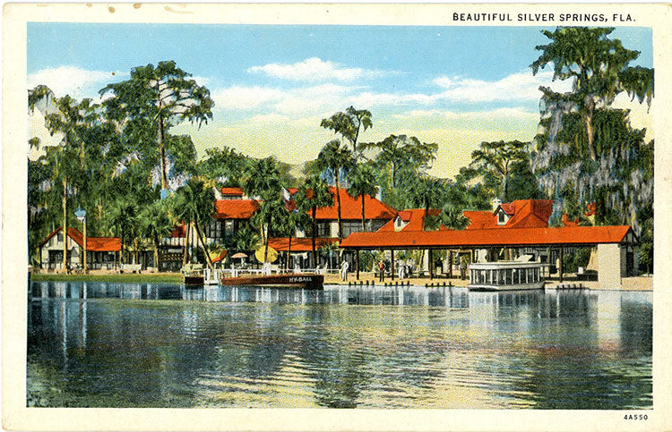 Silver Springs Florida Nature's Underwater Fairyland Vintage Postcard (unused) - Vintage Postcard Boutique