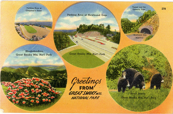 Great Smoky Mountains National Park Multi View Postcard (unused) - Vintage Postcard Boutique