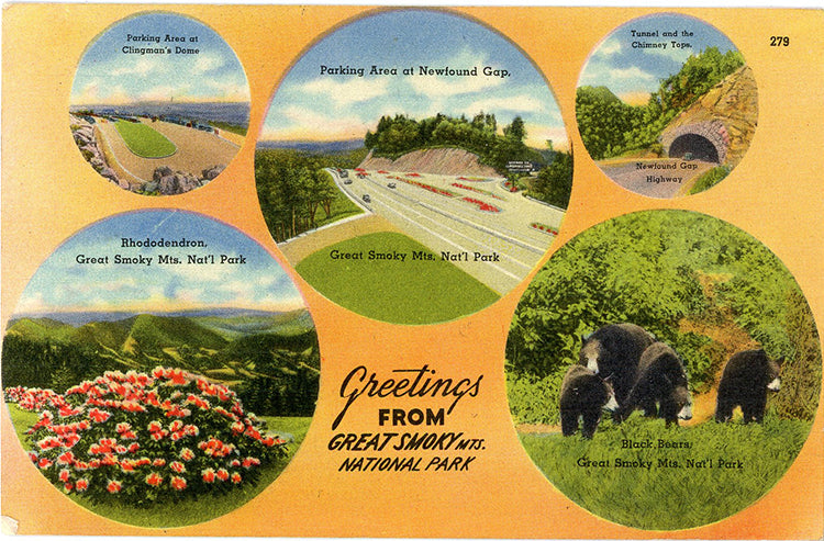 Great Smoky Mountains National Park Multi View Postcard (unused)