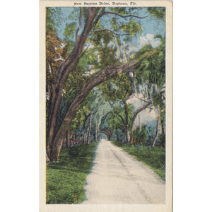 Daytona Florida New Smyrna Drive Vintage Postcard 1918 - Vintage Postcard Boutique