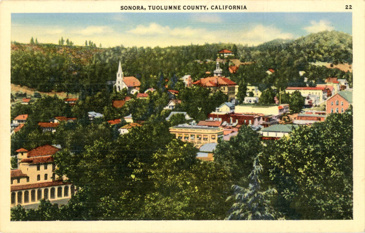 Sonora Tuolumne County Vintage California Postcard (unused) - Vintage Postcard Boutique