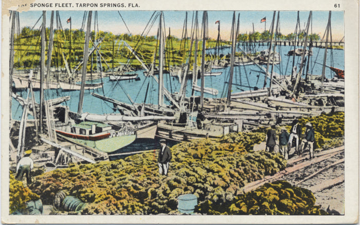 Tarpon Springs Florida Sponge Fleet Vintage Postcard 1932 - Vintage Postcard Boutique