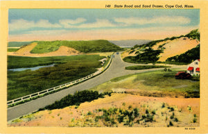 Cape Cod Massachusetts State Road and Sand Dunes Vintage Postcard (unused) - Vintage Postcard Boutique