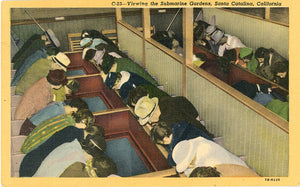 Santa Catalina Submarine Gardens Glass Bottom Boat Viewing California Vintage Postcard (unused) - Vintage Postcard Boutique