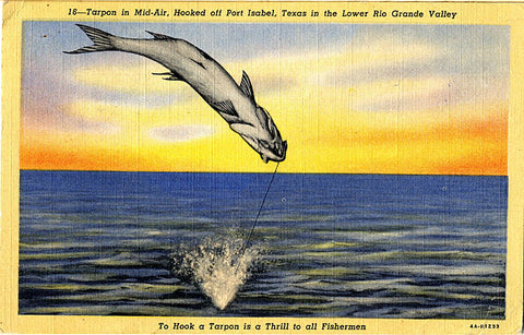 Port Isabel Texas Tarpon in Mid-Air Fishing Vintage Postcard 1947 - Vintage Postcard Boutique