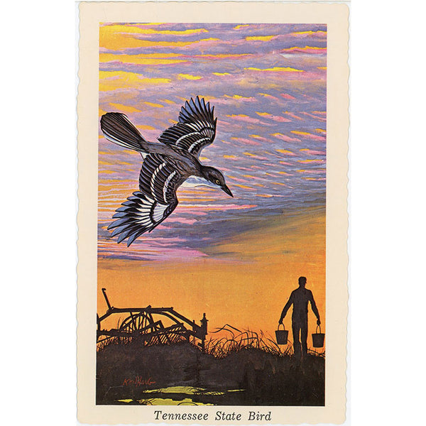 Tennessee State Bird - Mocking Bird Vintage Postcard Signed Artist Ken Haag (unused) - Vintage Postcard Boutique