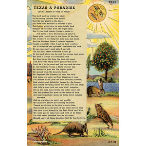 Texas A Paradise Poem – Armadillo Jackrabbit Vintage Postcard (unused) - Vintage Postcard Boutique