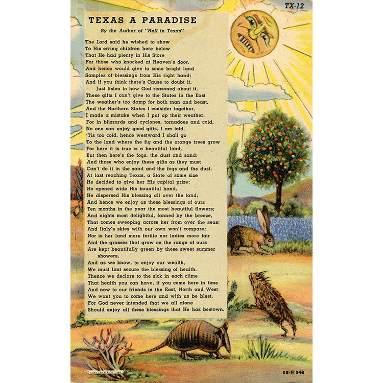 Texas A Paradise Poem – Armadillo Jackrabbit Vintage Postcard (unused)