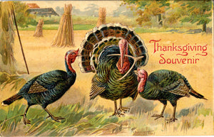 Thanksgiving Three Turkeys with Wishbone Souvenir Vintage Postcard - Embossed 1908 - Vintage Postcard Boutique