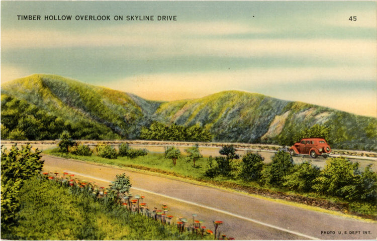 Shenandoah National Park Virginia Timber Hollow Overlook Skyline Drive Vintage Postcard (unused) - Vintage Postcard Boutique