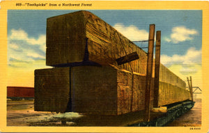 Toothpicks from Northwest Forest Lumber Oregon Washington Vintage Postcard (unused)