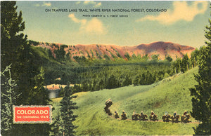 Trappers Lake Trail White River National Forest Colorado Vintage Postcard (unused) - Vintage Postcard Boutique