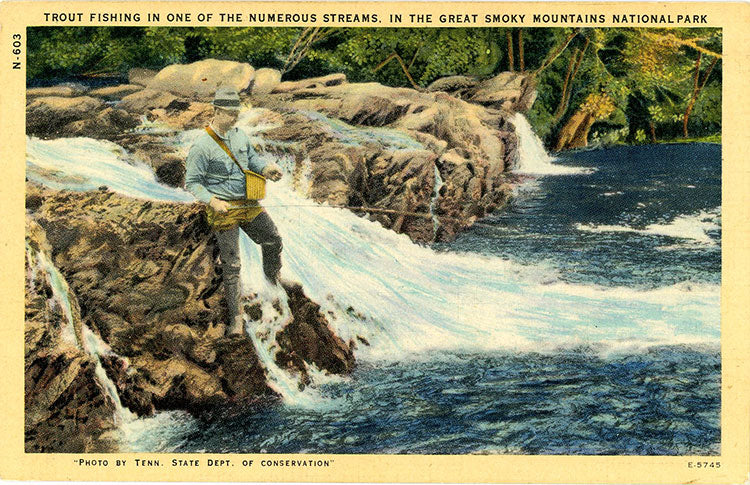 Great Smoky Mountains National Park Trout Fishing in Stream Vintage Postcard 1950