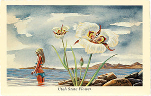 Utah State Flower - Sego Lily Vintage Botanical Postcard Signed Artist Ken Haag (unused) - Vintage Postcard Boutique