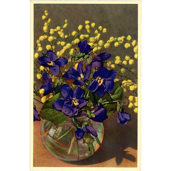Violets & Black Wattle Vintage Flower Postcard - Botanical Art for Framing (unused)
