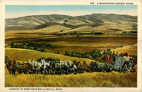 Walla Walla Washington Combine Harvest Work with Horses Vintage Postcard 1937 - Vintage Postcard Boutique