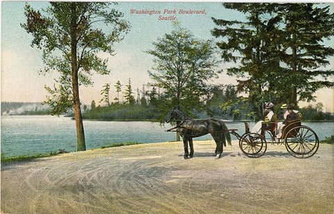 Washington Park Boulevard Horse & Buggy Seattle Washington Vintage Postcard 1909 - Vintage Postcard Boutique