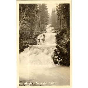 Washington River Torrents RPPC Vintage Postcard (unused) - Vintage Postcard Boutique