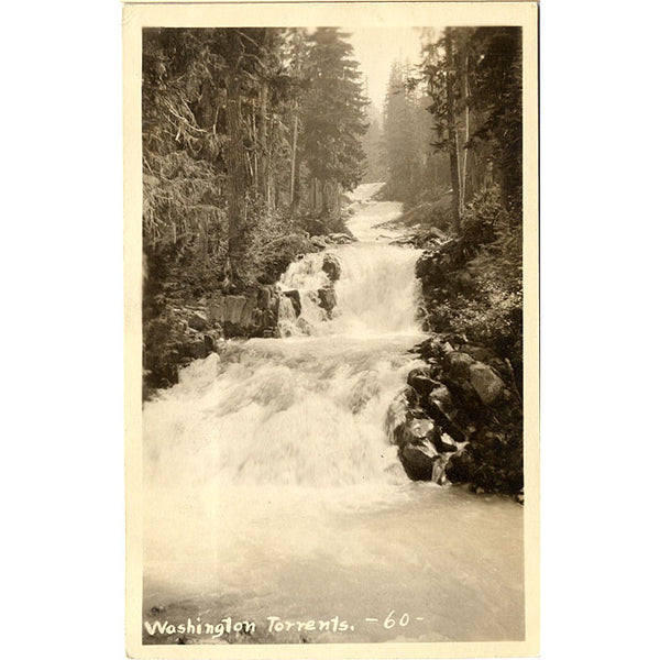 Washington River Torrents RPPC Vintage Postcard (unused) - Vintage Postcard Boutique