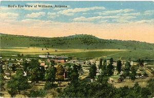 Williams Arizona Bird's Eye View Vintage Postcard (unused) circa 1910 - Vintage Postcard Boutique