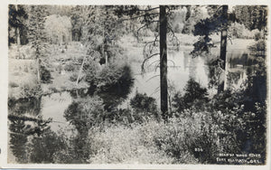 Fort Klamath Oregon Head of Wood River RPPC Vintage Postcard - Vintage Postcard Boutique