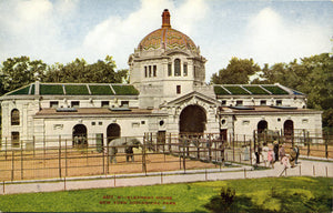 Elephant House New York Zoological Park Bronx Zoo Vintage Postcard circa 1910 (unused) - Vintage Postcard Boutique